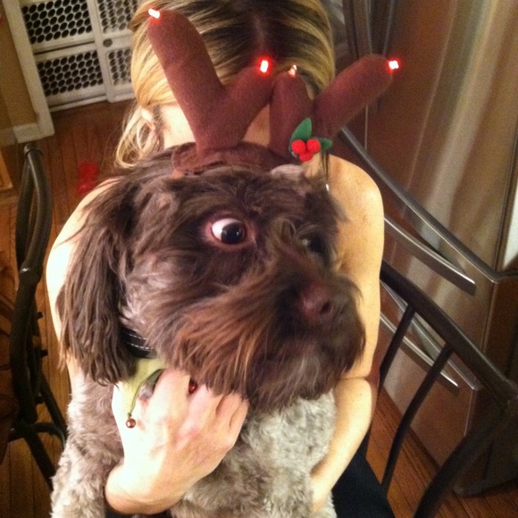 Meet your Posher, Debbie❣️💕🤗😊🍷😍☃️ - Picture 4 of 8